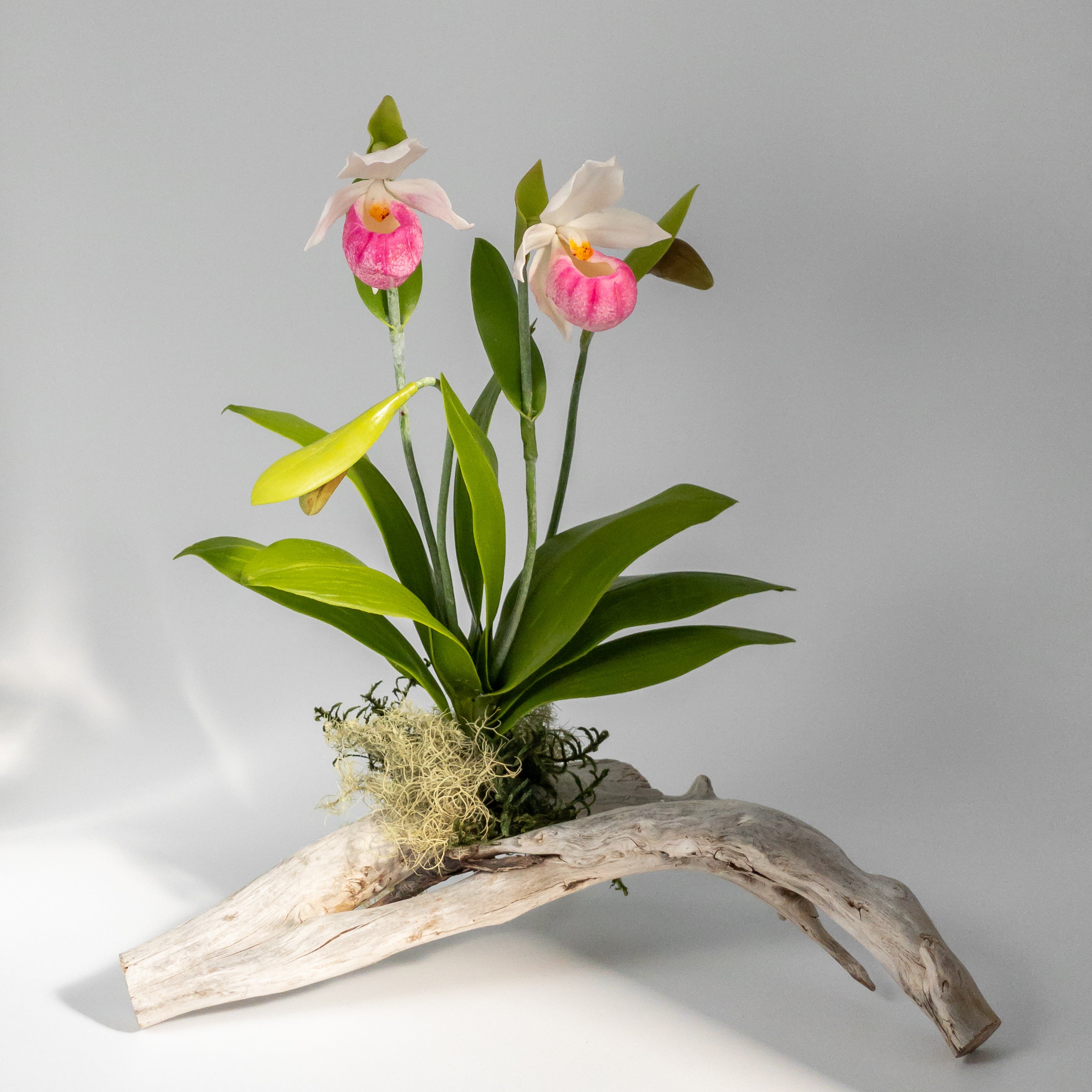 花 cham Chaba's Clay Flower – The Artisan District