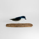 Tree Swallow on Perch by The Glass Bakery