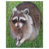 “Raccoon II” by Donna Rawlins Sharpe