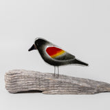 Red Winged Black Bird on Perch by The Glass Bakery