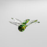 Dragonfly in Fiddler’s Green by Glass Roots