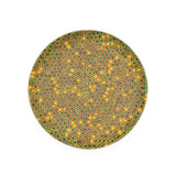 “Citrus 2” Bowl by Ollie Parkin