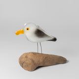 Herring Gull on Perch by The Glass Bakery
