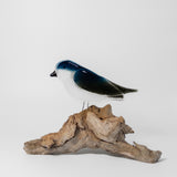 Tree Swallow on Perch by The Glass Bakery