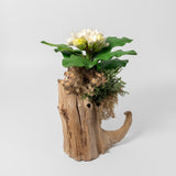 Small White Mayflower Bouquet on Driftwood by Chandler Conrad