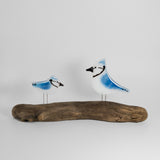 Blue Jay Chick & Adult Pair on Perch by The Glass Bakery