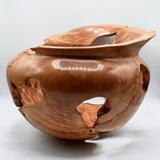 Elemental Lucidity by Andrew Ross