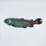 Raku Trout by Tim Isaac Pottery