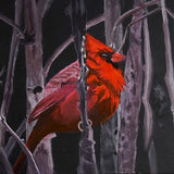 “Cardinal at night” by Mary Steeves