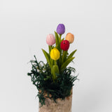 Small Tulips on Wood Stump by Chabaket Conrad