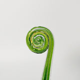 Fiddlehead by Glass Roots