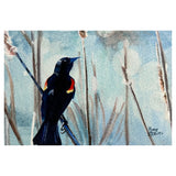 “Redwinged Blackbird” by Mary Steeves