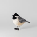 Chickadee by Nikki Langley