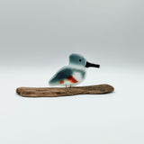 Belted Kingfisher by The Glass Bakery