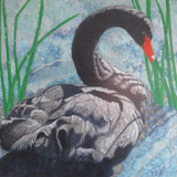 "Black Swan I” by Donna Rawlins Sharpe