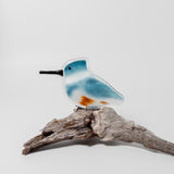 Belted Kingfisher on Perch by The Glass Bakery