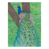 "Peacock I" by Donna Rawlins Sharpe
