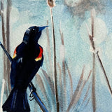 “Redwinged Blackbird” by Mary Steeves