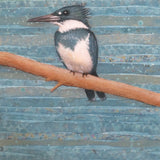 "Kingfisher I" by Donna Rawlins Sharpe