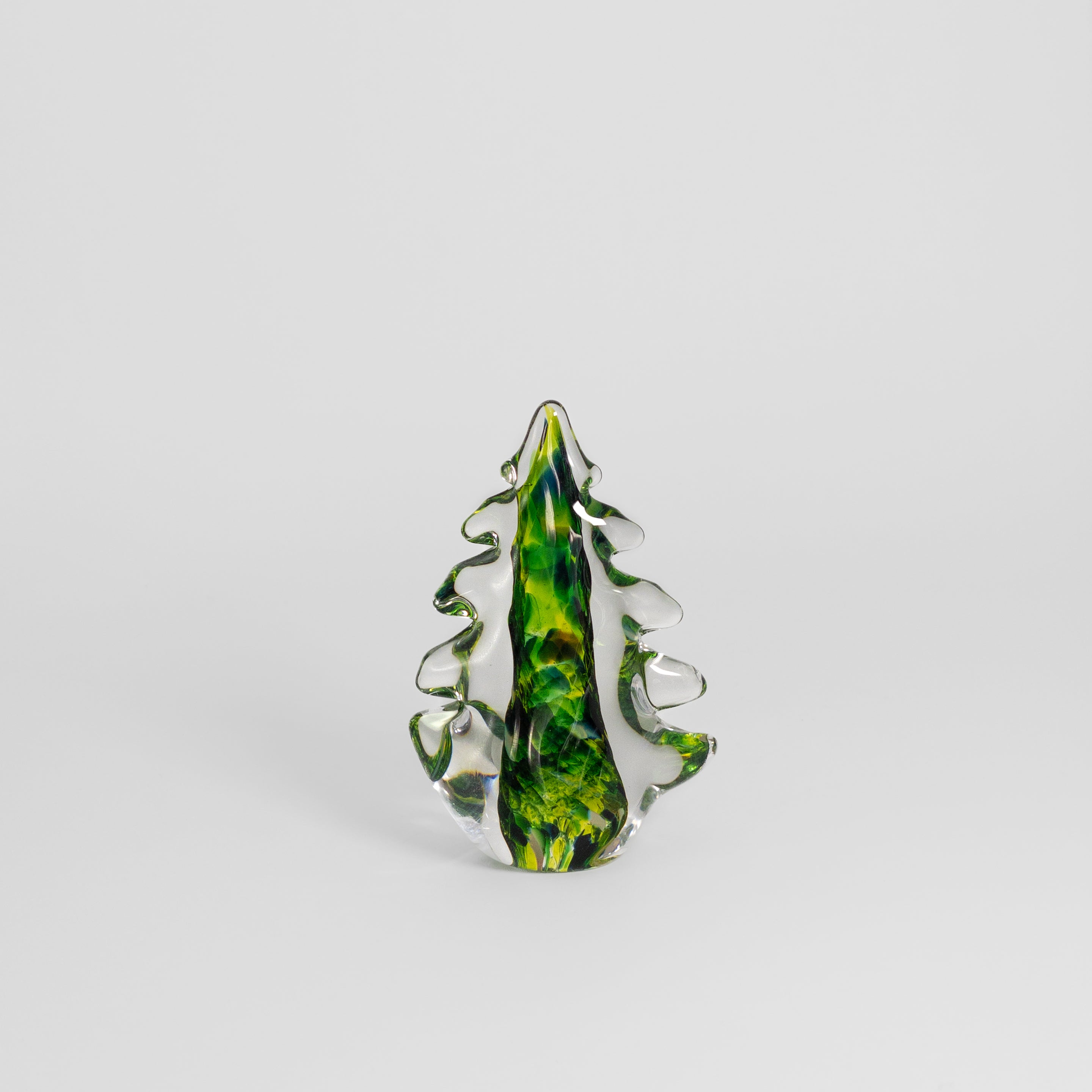 Evergreen Tree in Fiddler’s Green by Glass Roots – The Artisan District