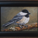 "Wee Chickadee" by Dale Cook