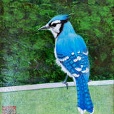 “Jay on a Railing I” by Donna Rawlins Sharpe