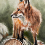 "Fox on Logs" Original Oil on panel by Terry Price