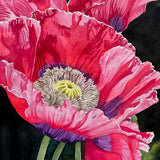 "Poppies" by Mary Steeves