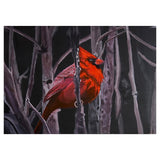 “Cardinal at night” by Mary Steeves