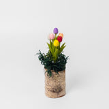 Small Tulips on Wood Stump by Chabaket Conrad
