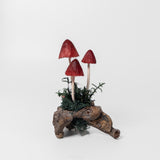 Small Mushrooms on Driftwood by Chabaket Conrad