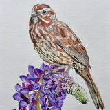 "Sparrow on a Lupine" by Mary Steeves