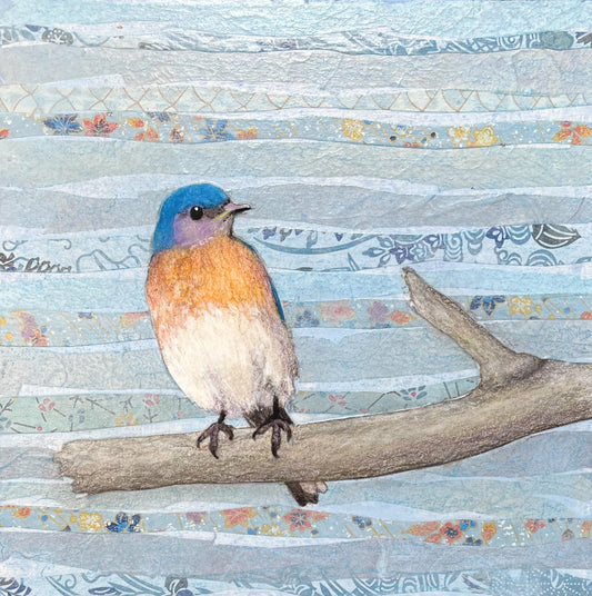 Eastern Bluebird by Donna Rawlins-Sharpe