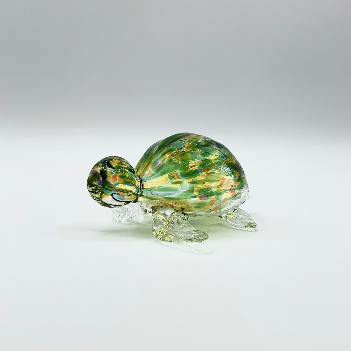 Sea Turtle by Glass Roots