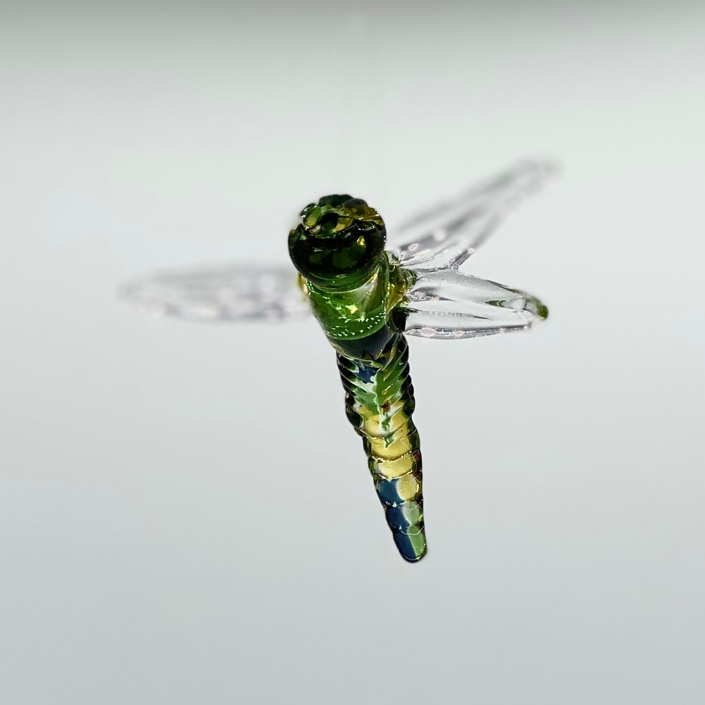 Dragonfly by Glass Roots