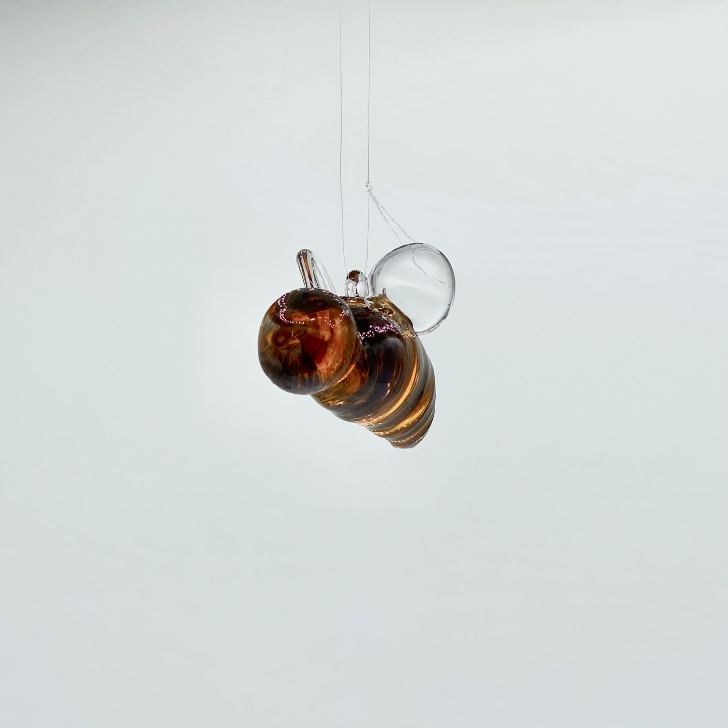 Bumblebee by Glass Roots